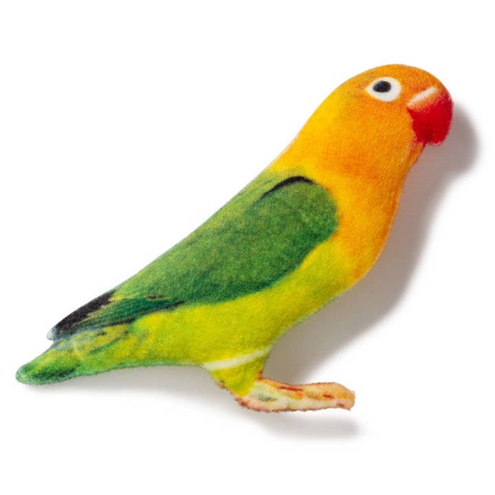 Магніт Папуга нерозлучник