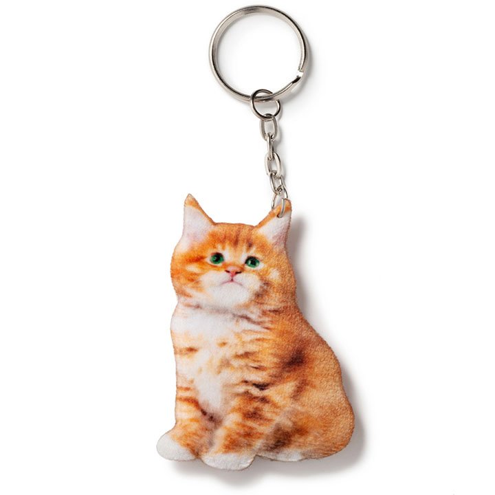 Брелок Мейн-кун - фото 2