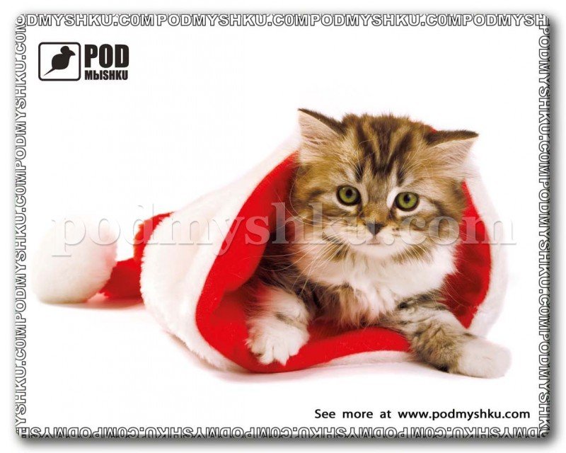 Килимок для мишки Кіт у ковпаку за вигідною ціною в інтернет-магазині ТМ