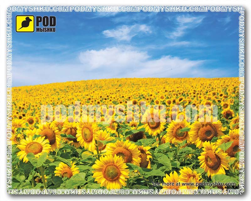 Килимок для миші Соняшники недорого – ТМ Podmyshku