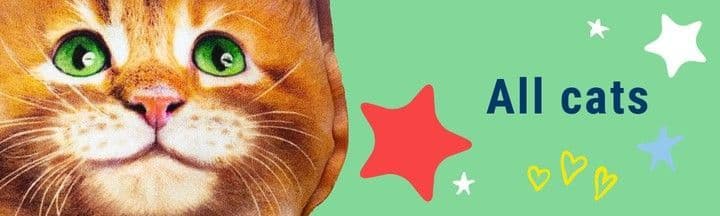 All cats