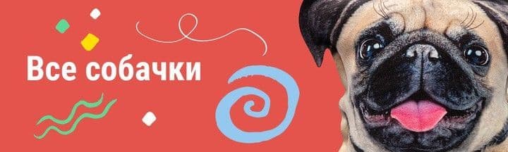 Все собачки