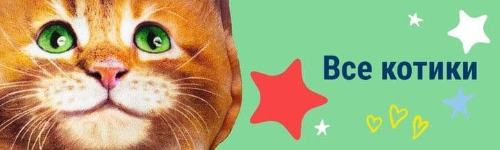 Все котики