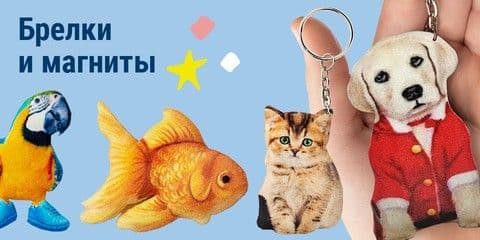 Брелоки и магниты